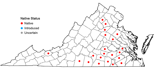Locations ofFestuca paradoxa Desv. in Virginia