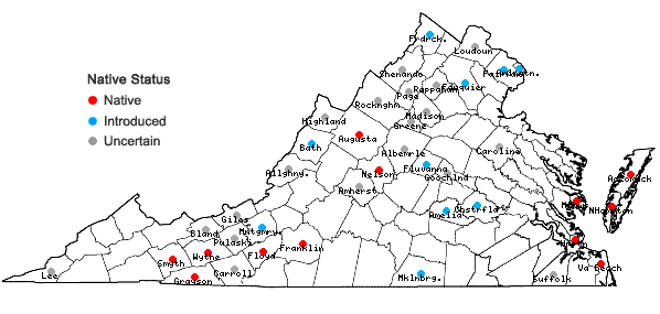 Locations ofFestuca rubra L. in Virginia