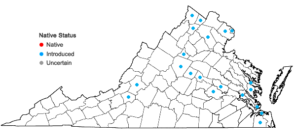 Locations ofFicaria verna Hudson in Virginia