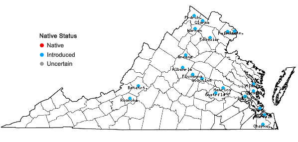 Locations ofFicaria verna Hudson in Virginia