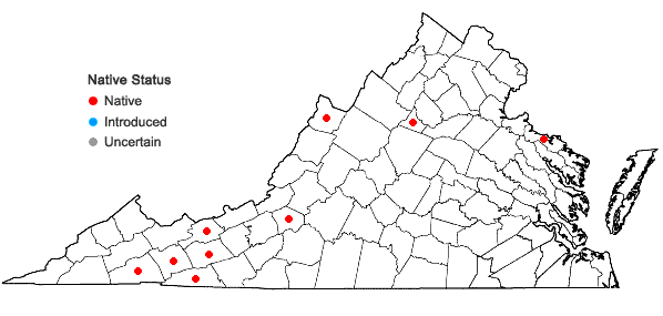 Locations ofFragaria vesca L. var americana Porter in Virginia