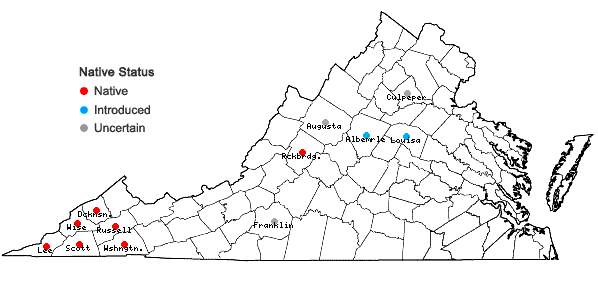 Locations ofFrangula caroliniana (Walter) A. Gray in Virginia