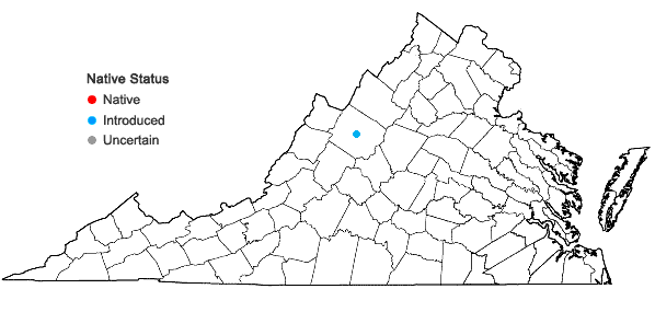 Locations ofFumaria muralis W.D.J. Koch ssp. muralis in Virginia