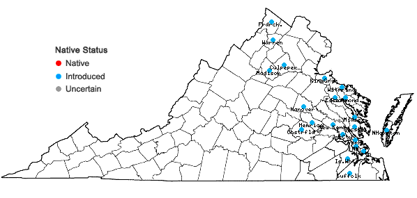 Locations ofFumaria officinalis L. in Virginia