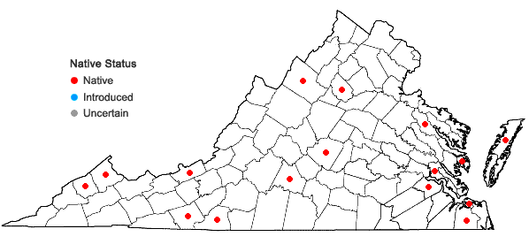 Locations ofFuscocephaloziopsis connivens (Dicks.) Vana & Söderstr. in Virginia