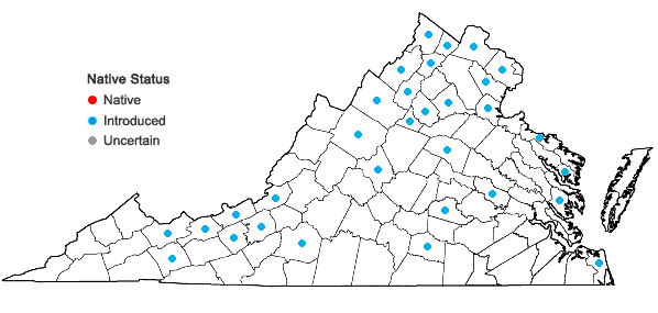 Locations ofGalinsoga parviflora Cav. var. parviflora in Virginia