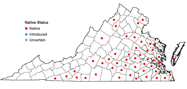 Locations ofGentiana saponaria L. in Virginia