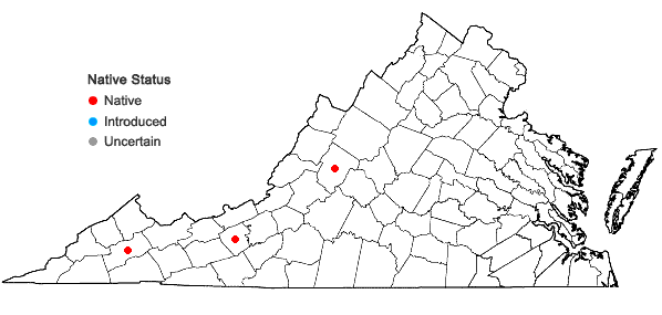 Locations ofGentianella quinquefolia (L.) Small var. occidentalis Gray in Virginia