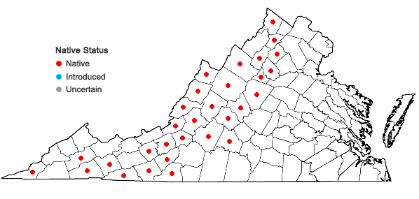 Locations ofGentianella quinquefolia (L.) Small var. quinquefolia in Virginia