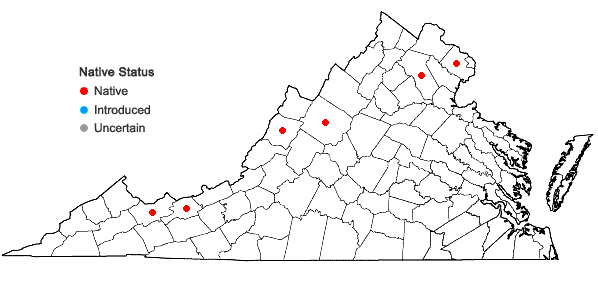 Locations ofGeum laciniatum Murray in Virginia