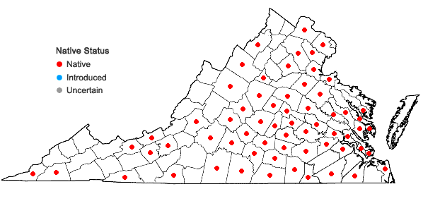 Locations ofHelenium flexuosum Raf. in Virginia