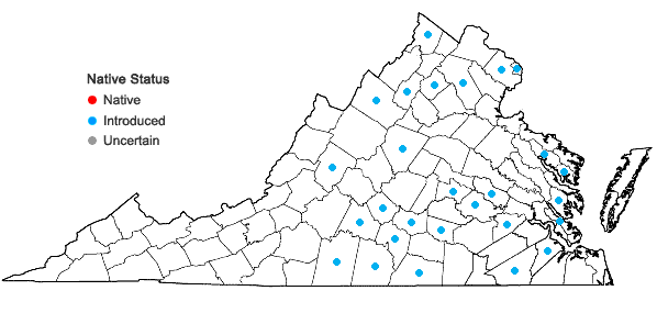 Locations ofHelianthus annuus L. in Virginia