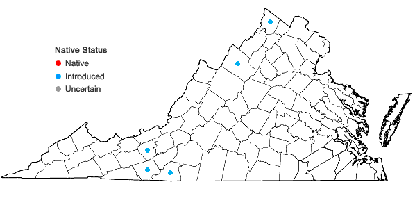 Locations ofHelleborus viridis L. in Virginia