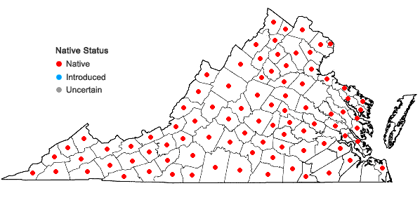 Locations ofHepatica americana (DC.) Ker-Gawl. in Virginia