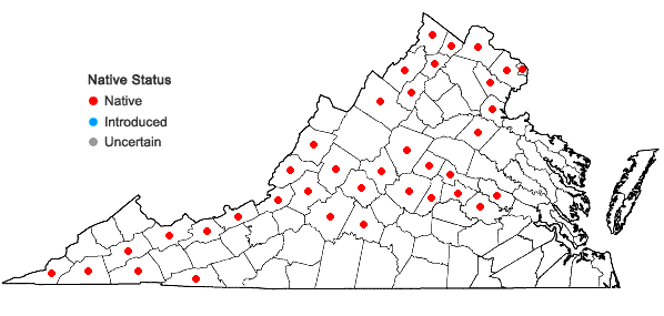Locations ofHeteranthera dubia (Jacquin) MacMillan in Virginia