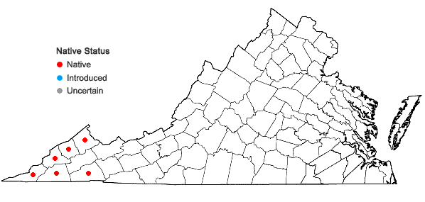 Locations ofHeuchera longiflora Rydb. in Virginia