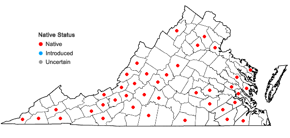 Locations ofHexalectris spicata (Walter) Barnh. in Virginia