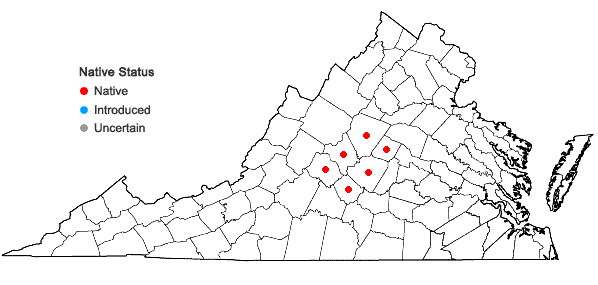 Locations ofHexastylis chueyi (B.T. Sinn) Weakley & D.B. Poind. in Virginia