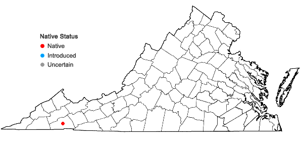 Locations ofHexastylis contracta Blomquist in Virginia