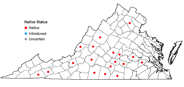 Locations ofHexastylis minor (Ashe) Blomquist in Virginia