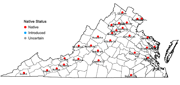 Locations ofHomomallium adnatum (Hedw.) Broth. in Virginia