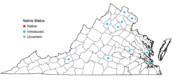 Locations ofHordeum vulgare L. in Virginia