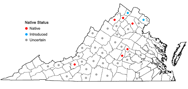 Locations ofHumulus lupulus L. in Virginia