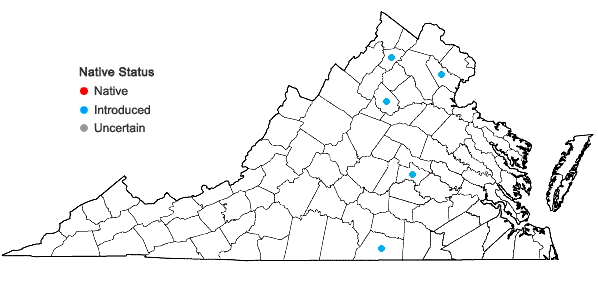 Locations ofHyacinthus orientalis L. in Virginia