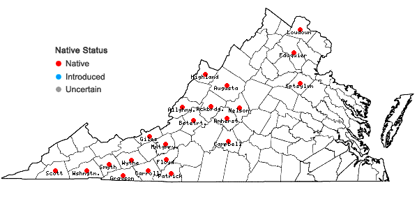 Locations ofHypericum densiflorum Pursh in Virginia