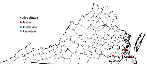 Locations ofHypericum denticulatum Walt. in Virginia