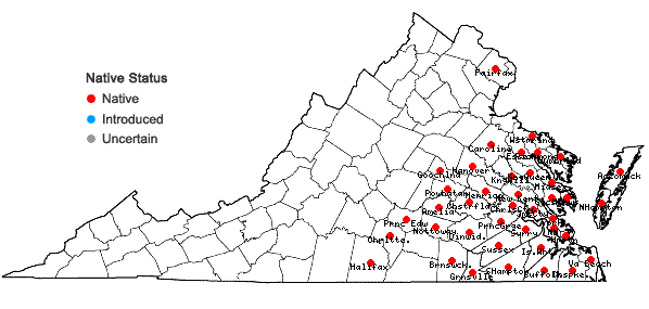 Locations ofHypericum hypericoides (L.) Crantz  in Virginia