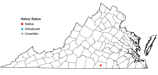 Locations ofHypericum lloydii (Svenson) P. Adams in Virginia