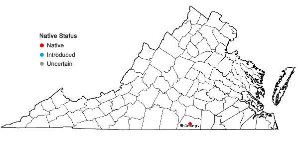 Locations ofHypericum lloydii (Svenson) P. Adams in Virginia