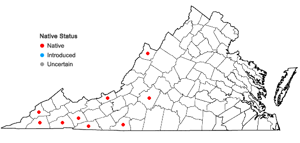 Locations ofHypericum mitchellianum Rydb. in Virginia