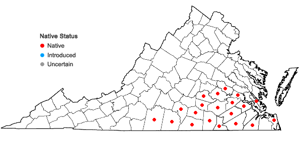 Locations ofHypericum nudiflorum Michx. ex Willd. in Virginia