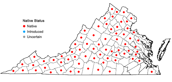 Locations ofHypericum prolificum L. in Virginia