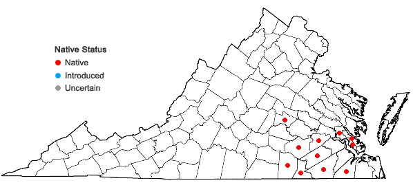 Locations ofHypericum setosum L. in Virginia