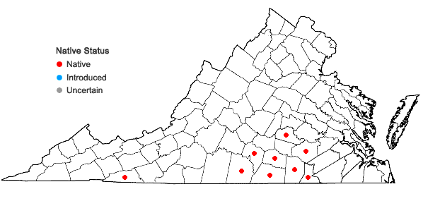 Locations ofHypericum virgatum Lam. in Virginia