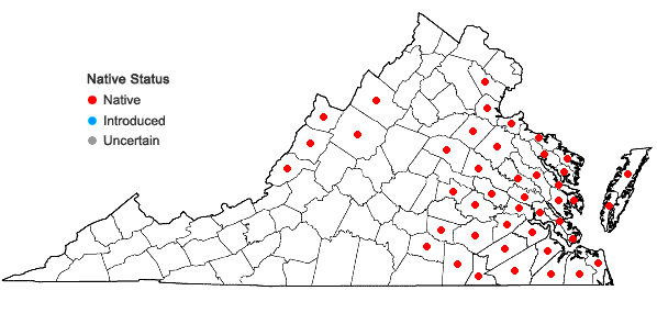 Locations ofHypericum virginicum L. in Virginia