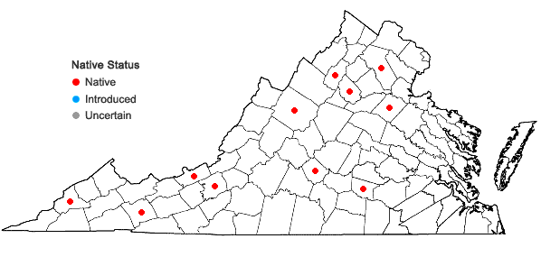 Locations ofHypnum pratense Koch ex Spruce in Virginia