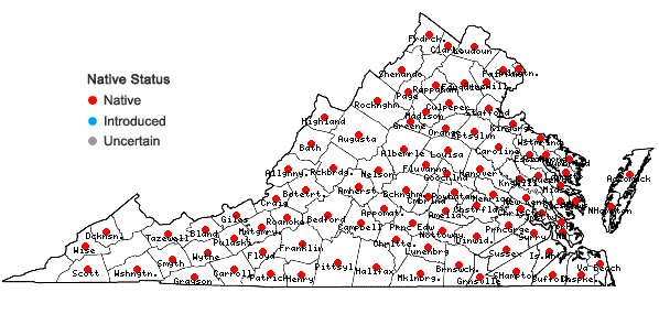 Locations ofIlex verticillata (L.) Gray in Virginia