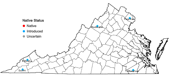 Locations ofImpatiens balsamina L. in Virginia