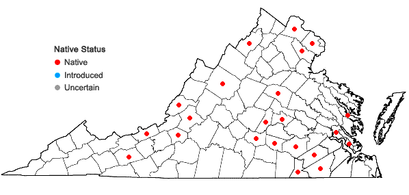 Locations ofIsoetes engelmannii A. Braun in Virginia