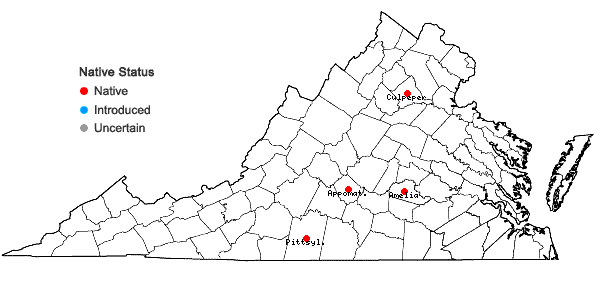 Locations ofIsoetes melanopoda Gay & Durieu ssp. silvatica Brunton & Britton  in Virginia