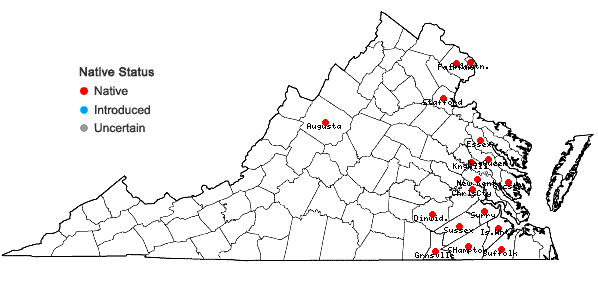 Locations ofIsoetes riparia Engelm. ex A. Braun in Virginia