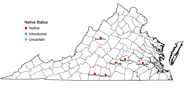 Locations ofIsoetes virginica N.E. Pfeiffer in Virginia