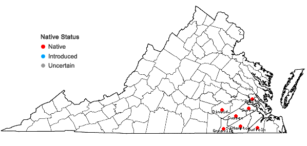 Locations ofIsoetes × bruntonii Knepper & Musselman in Virginia