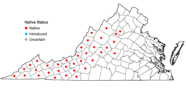 Locations ofIsotrema macrophyllum (Lam.) C.F. Reed in Virginia
