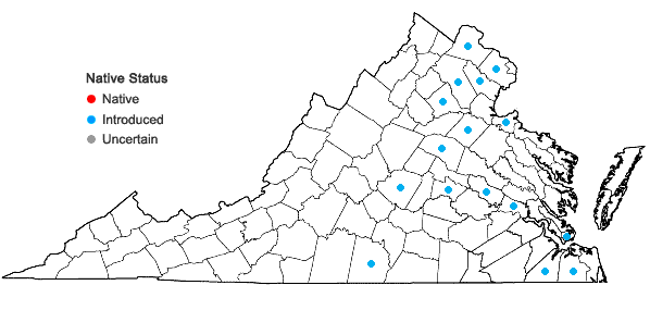 Locations ofIva annua L. in Virginia
