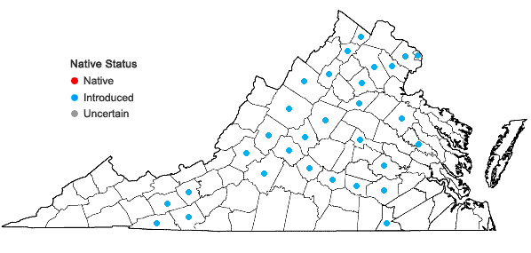 Locations ofKochia scoparia (L.) Schrader ssp. scoparia in Virginia